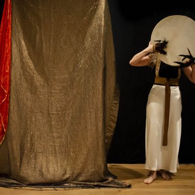 L'envol des oiseaux
